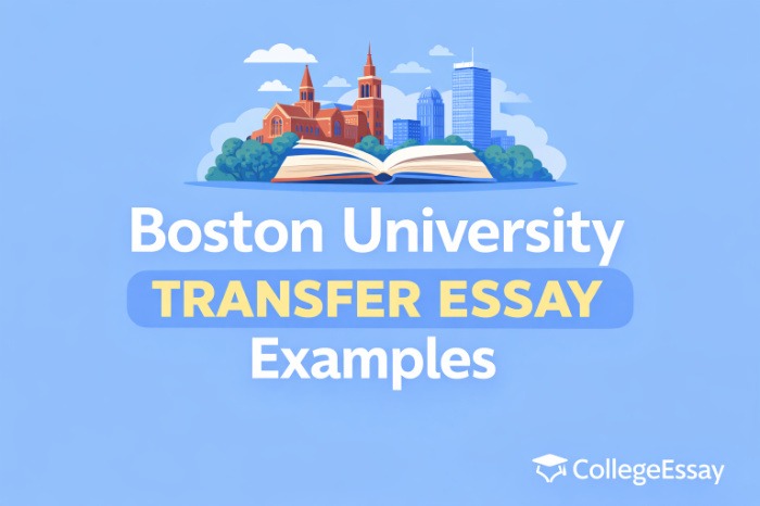 Boston University Transfer Essay