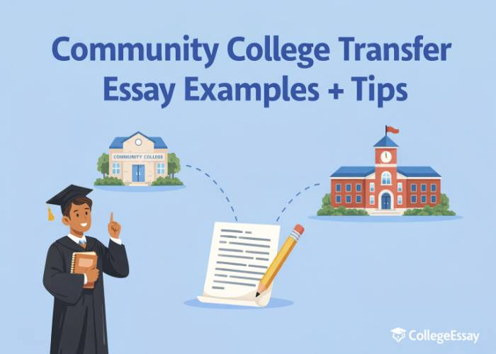 community college transfer essay examples