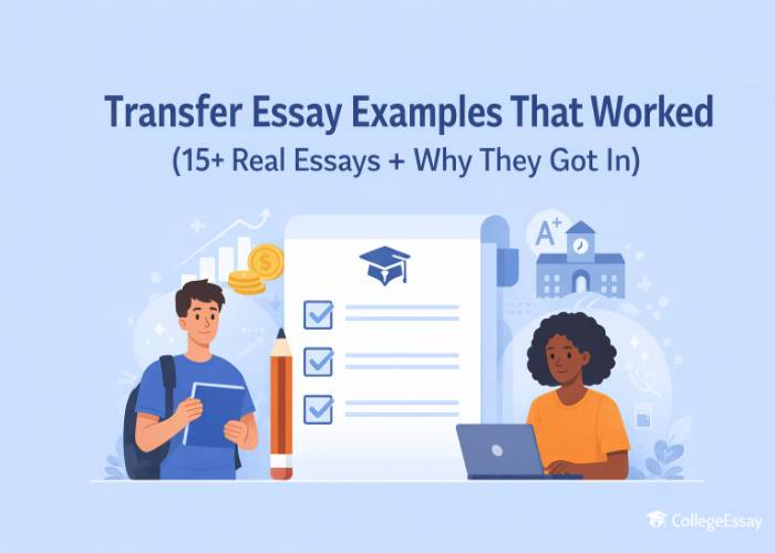 Transfer Essay Examples