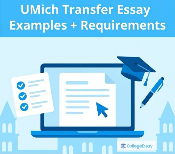 UMich Transfer Essay
