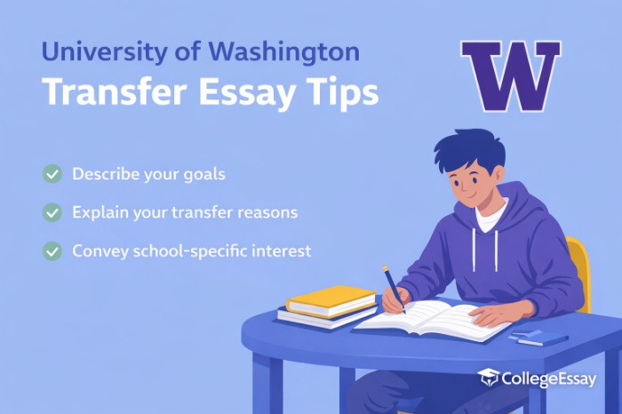 University of Washington Transfer Essay