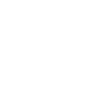 essayType2-